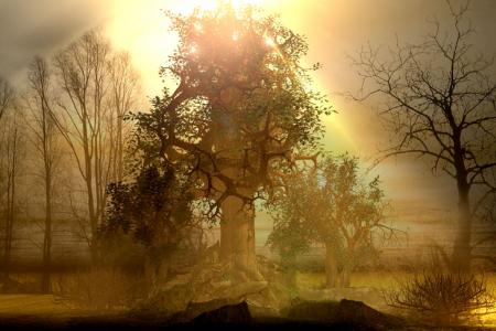 Bonne soir�e ...et bon mercerdi...